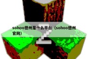 sohoo德州是什么平台（sohoo德州官网）