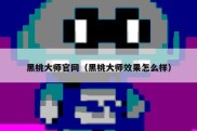黑桃大师官网（黑桃大师效果怎么样）