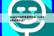 ssgportal改名后叫什么（ssbox改名叫什么）
