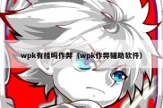 wpk有挂吗作弊（wpk作弊辅助软件）