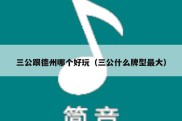 三公跟德州哪个好玩（三公什么牌型最大）