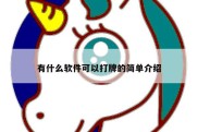 有什么软件可以打牌的简单介绍