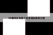 hh德州扑克输了好多钱的简单介绍
