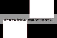 微扑克平台游戏大厅（微扑克有什么规律么）