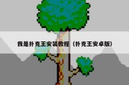 我是扑克王安装教程（扑克王安卓版）