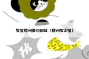 智星德州备用网址（德州智汇星）
