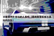 小奥德州扑克玩的人多吗（德州奥德乐有小孩玩的什么）
