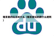 赌圣里的玩法叫什么（赌圣里玩的牌什么规则）