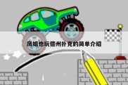 凤姐也玩德州扑克的简单介绍