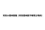欢乐小德州客服（欢乐德州属于哪家公司的）