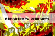 我是扑克王是什么平台（谁是扑克王停播）