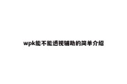 wpk能不能透视辅助的简单介绍