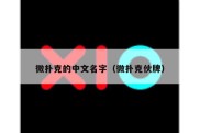 微扑克的中文名字（微扑克伙牌）