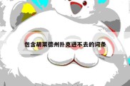 包含胡莱德州扑克进不去的词条