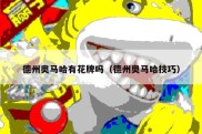 德州奥马哈有花牌吗（德州奥马哈技巧）