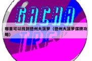 哪里可以找到德州大菠萝（德州大菠萝摆牌攻略）