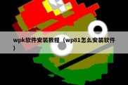 wpk软件安装教程（wp81怎么安装软件）