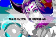 胡菜德州正规吗（德州有胡辣汤吗）