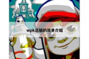 wpk总输的简单介绍