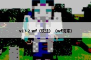 v13.2.wf（玩法）（wf玩家）