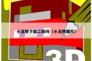 小丑牌下载二维码（小丑牌图片）