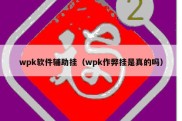 wpk软件辅助挂（wpk作弊挂是真的吗）