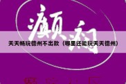 天天畅玩德州不出款（哪里还能玩天天德州）