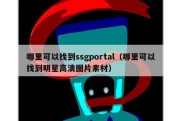 哪里可以找到ssgportal（哪里可以找到明星高清图片素材）