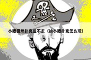 小猪德州扑克进不去（抽小猪扑克怎么玩）