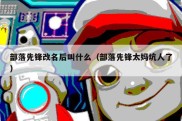 部落先锋改名后叫什么（部落先锋太妈坑人了）