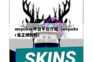 wepoker平台平台介绍（wepoker是正规的吗）