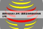 霹雳扑克玩的人多吗（霹雳互动网络科技有限公司）
