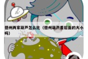 德州两家葫芦怎么比（德州葫芦看后面的大小吗）