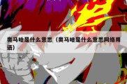 奥马哈是什么意思（奥马哈是什么意思网络用语）