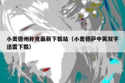 小奥德州扑克最新下载站（小奥德萨中英双字迅雷下载）