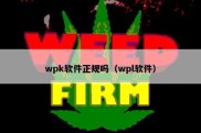wpk软件正规吗（wpl软件）