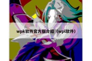 wpk软件官方版介绍（wpl软件）