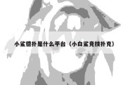 小鲨德扑是什么平台（小白鲨竞技扑克）