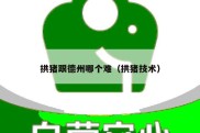 拱猪跟德州哪个难（拱猪技术）