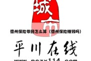 德州保险带回怎么算（德州保险赚钱吗）