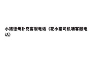 小猪德州扑克客服电话（花小猪司机端客服电话）
