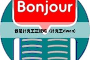 我是扑克王正规吗（扑克王dwan）