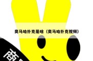 奥马哈扑克是啥（奥马哈扑克视频）