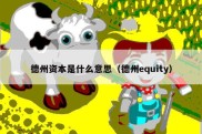 德州资本是什么意思（德州equity）