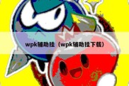 wpk辅助挂（wpk辅助挂下载）