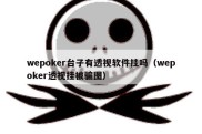 wepoker台子有透视软件挂吗（wepoker透视挂被骗图）