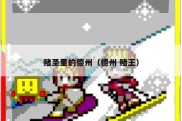 赌圣里的德州（德州 赌王）