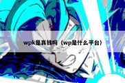 wpk是真钱吗（wp是什么平台）
