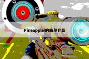 Pineapple!的简单介绍