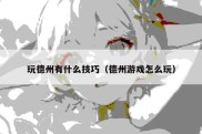 玩德州有什么技巧（德州游戏怎么玩）